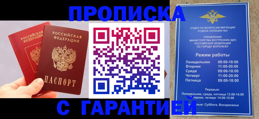 прописка паспорт в Ельне